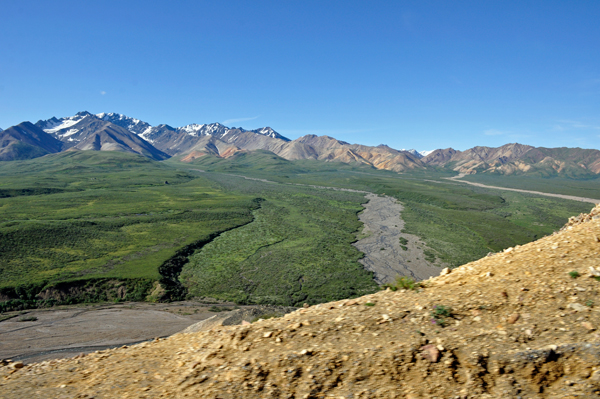 Denali National Park scenery